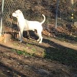 Sharon Lowery-Attaway - @loweryattaway27401 - Instagram