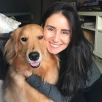 Sharon Avila - @sharon_avila - Instagram