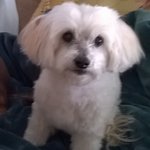 Sharon Babbitt - @sdbabbitt - Instagram