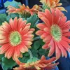 sharon bach13 - @sharon.bach13 - TikTok