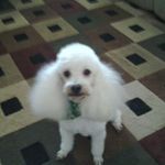 Sharon Bagley - @sharon.bagley.31 - Instagram