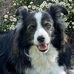 Sharon Bagley - Facebook