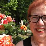 Sharon Bagley - @sharibagley - Instagram