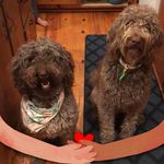 Sharon Bagwell - @sharon_bagwell - Instagram