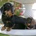 Sharon Bain - Facebook