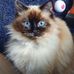 Sharon Bain - Facebook