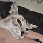 Sharon Balog - @sharonbalog - Instagram