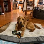 Sharon Baranowski - Facebook