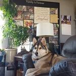 Sharon Barbee - @barbee9417 - Instagram
