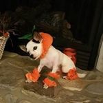 Sharon Barbee - @slcb0313 - Instagram