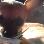 Sharon Barks - @sharon.barks.923 - Instagram