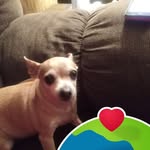 Sharon Barks - @barkssharon5 - Instagram