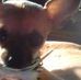 Sharon Barks - Facebook