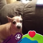Sharon Barks - Facebook