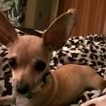 Sharon Barks - @qualityfirst4u - Instagram