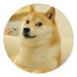 Sharon - @sharonbarks - Instagram