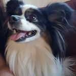 Sharon Barnard - @bess2molly - Instagram