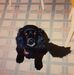 Sharon Barnhart - Facebook