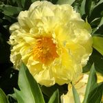 Sharon Bartels - @bartelscountrylife - Instagram