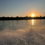 Sharon Bartels - @sharonsalzbartels - Instagram