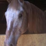 Sharon Bartels Joseph - @sharon.joseph.180 - Instagram