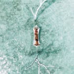 Sharon Bartelson - @bartelson_sharon - Instagram