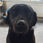 Sharon Basham - @sharzabasha - Instagram