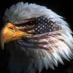 Sharon Basham - @brktym - Instagram