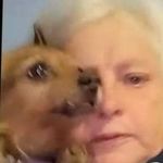 sharon basham - @basham1172 - Instagram