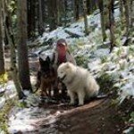 Sharon Basinger - @sharonbasinger1 - Instagram