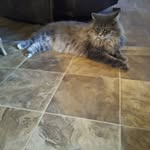 Sharon Basinger - @sharonlouisebasing - Instagram