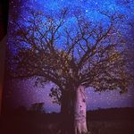 Sharon Batchelor - @sharon.batchelor.79 - Instagram