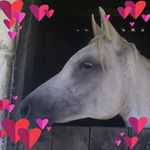 Sharon Batchelor - @k999_sharon - Instagram