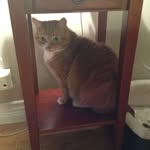 Sharon Bates - @sharonbates3 - Instagram