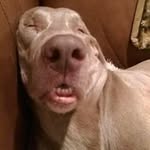 Sharon Bates - @sharonbates49 - Instagram