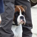 Sharon Bateman - @bateman9765 - Instagram