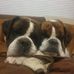 Sharon Bateman - Facebook