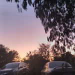 Sharon Baty - @sharon.baty.7121 - Instagram