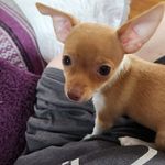 Sharon Baumgartner - @sharbaum - Instagram
