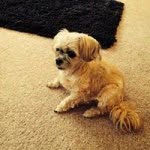 Sharon Joy Bayless - @sjbayless - Instagram