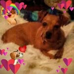 Sharon Beacham - @beachamsharon - Instagram