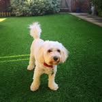 Sharon Beal - @shazzabeal72 - Instagram