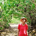 Sharon Beckett - @sharonbeckett_art - Instagram