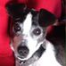 Sharon Beddingfield - Facebook