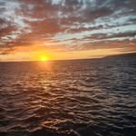 Sharon Bedwell - @slpwb - Instagram