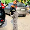 sharonbee_01💯🥀 - @sharonbee_1 - TikTok