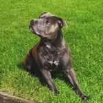 Sharon Belcher - @belcher_sharon - Instagram