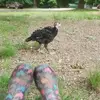 sharonbelew563 - @sharonbelew563 - TikTok