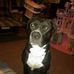 Sharon Belknap - Facebook