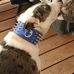 Sharon Benally Woodie - Facebook